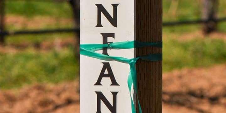 Zinfandel – ett av världens populäraste viner