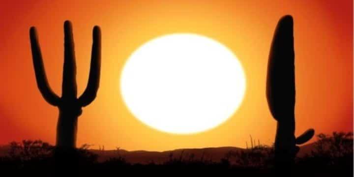 Vin till mexikansk mat? Ja, det går!