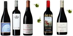 Syrah kan vara ett drömvin