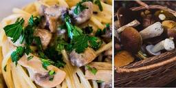 Lite pasta, lite svamp – otroligt gott!