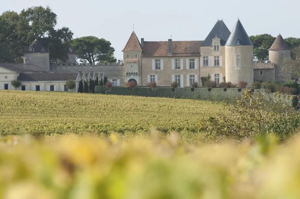 Sauternesvin