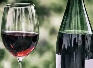 Nebbiolo – en kärleksförklaring