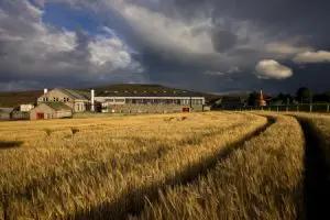I heta stolen: George S. Grant – Glenfarclas