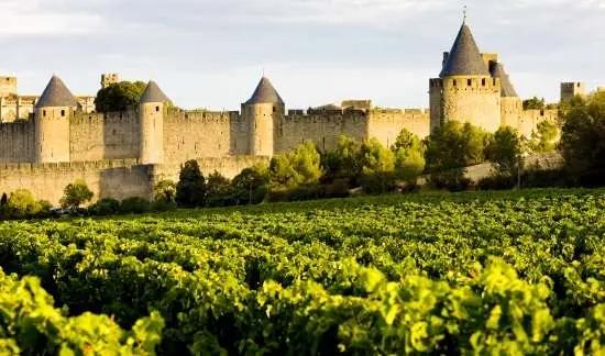 GW:S ROSA vingårdar i Languedoc Roussillon 