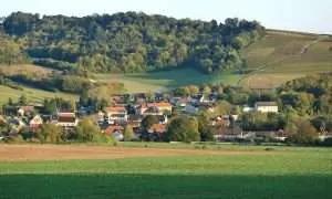 Champagneregionen – En resa genom ett sprudlande landskap