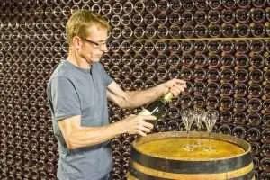 Champagneregionen – En resa genom ett sprudlande landskap