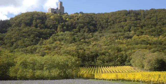 Alsace, Frankrikes minsting