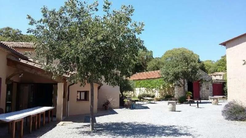 De bästa vingårdarna i Herault och Gard – Din insiderguide