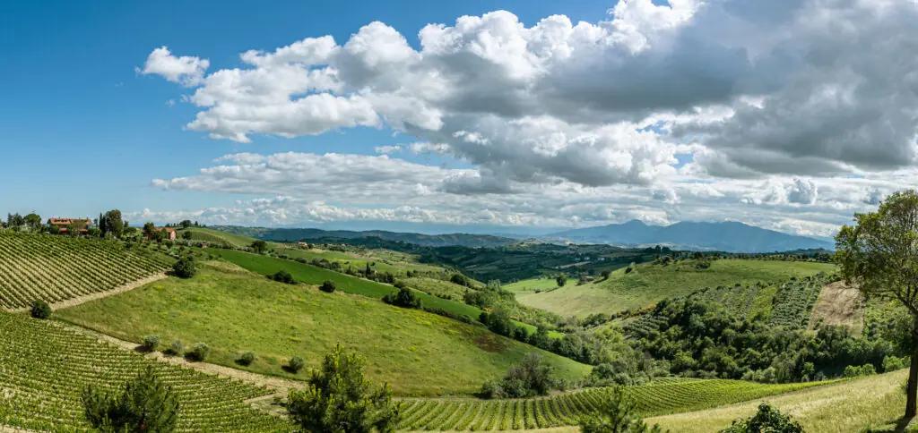 Vinregionerna Central Marche och Lazio – Din insider guide till två av Italiens bästa vinregionerna och dess vingårdar