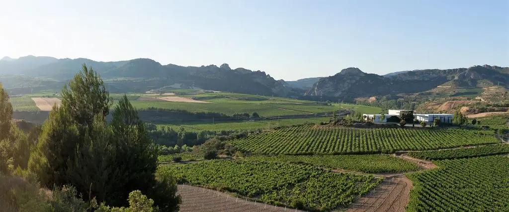 Rioja, en vin-metropol i norra Spanien!