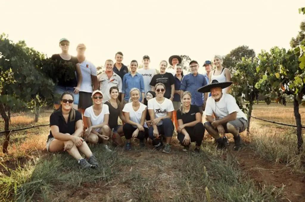 New South Wales – den näst största vinproducerande staten i Australien