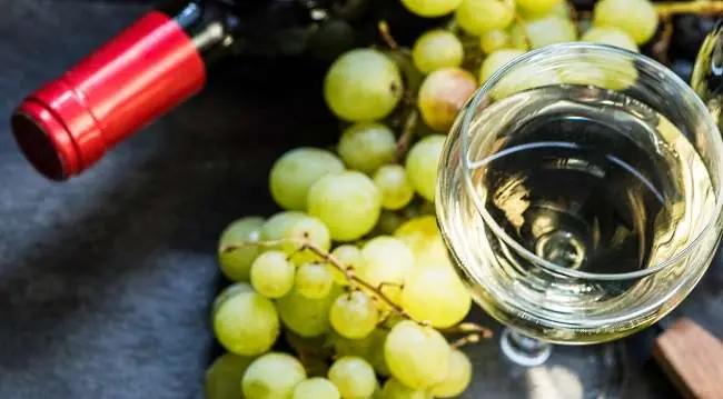 Fiano ett glas vitt