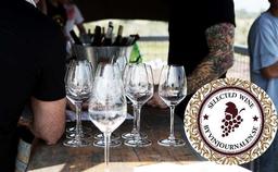 Selected by Vinjournalen: 6 smakfulla boxviner!
