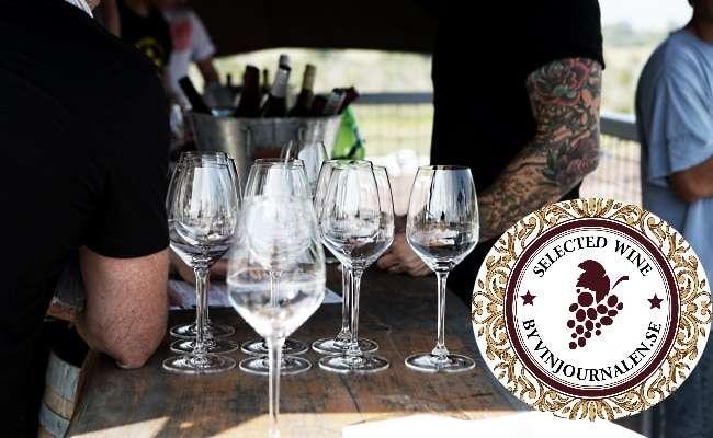 Selected by Vinjournalen: 6 smakfulla boxviner!