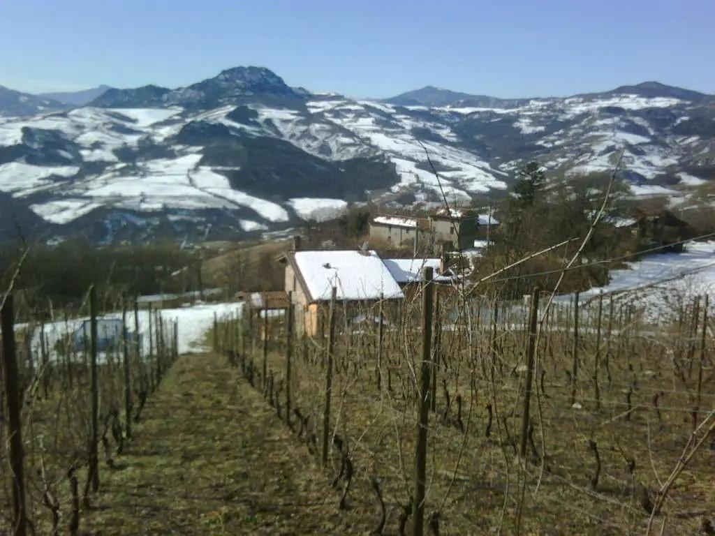 Emilia-Romagna – Din guide till en av de bästa vinregionerna i Italien