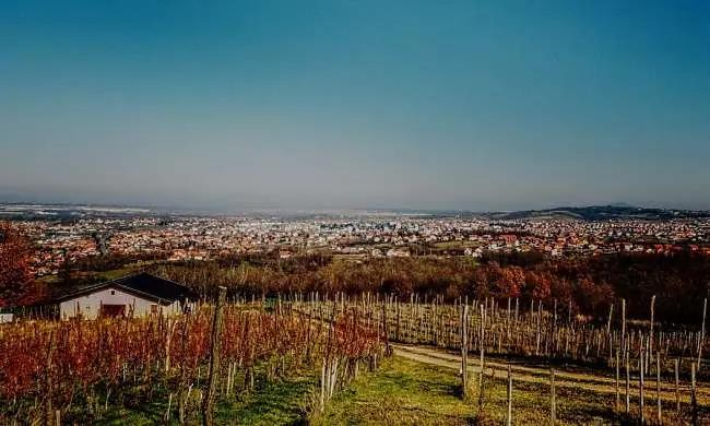 Vinregionen Belgrad i trendiga Serbien!
