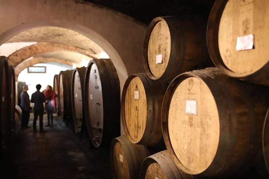 Besök vinregionen Toscana