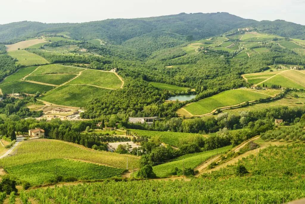 Barolo och Chianti – de ultimata sommardestinationerna 2021!