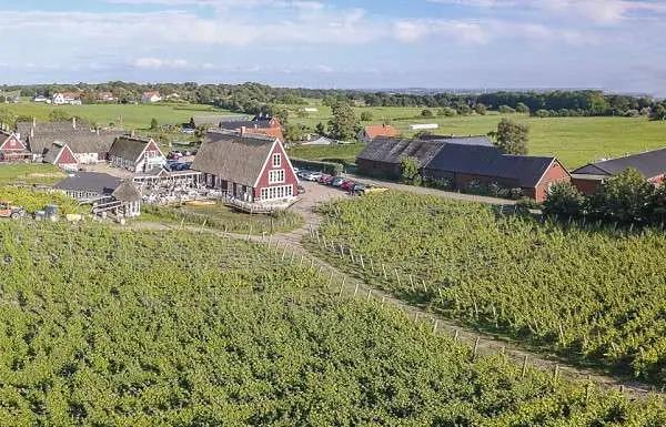 Arilds vackra vingård belägen på sydsidan av Kullaberg i Skåne med restaurang, boende och vingårdsbesök 