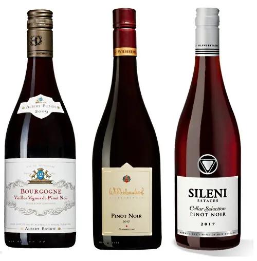 pinot noir - wilhelmshof pinot noir
