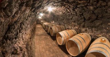 Tokaj och Villany – Ungerns äldsta och mest dynamiska vinregioner
