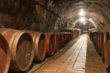 Tokaj och Villany – Ungerns äldsta och mest dynamiska vinregioner