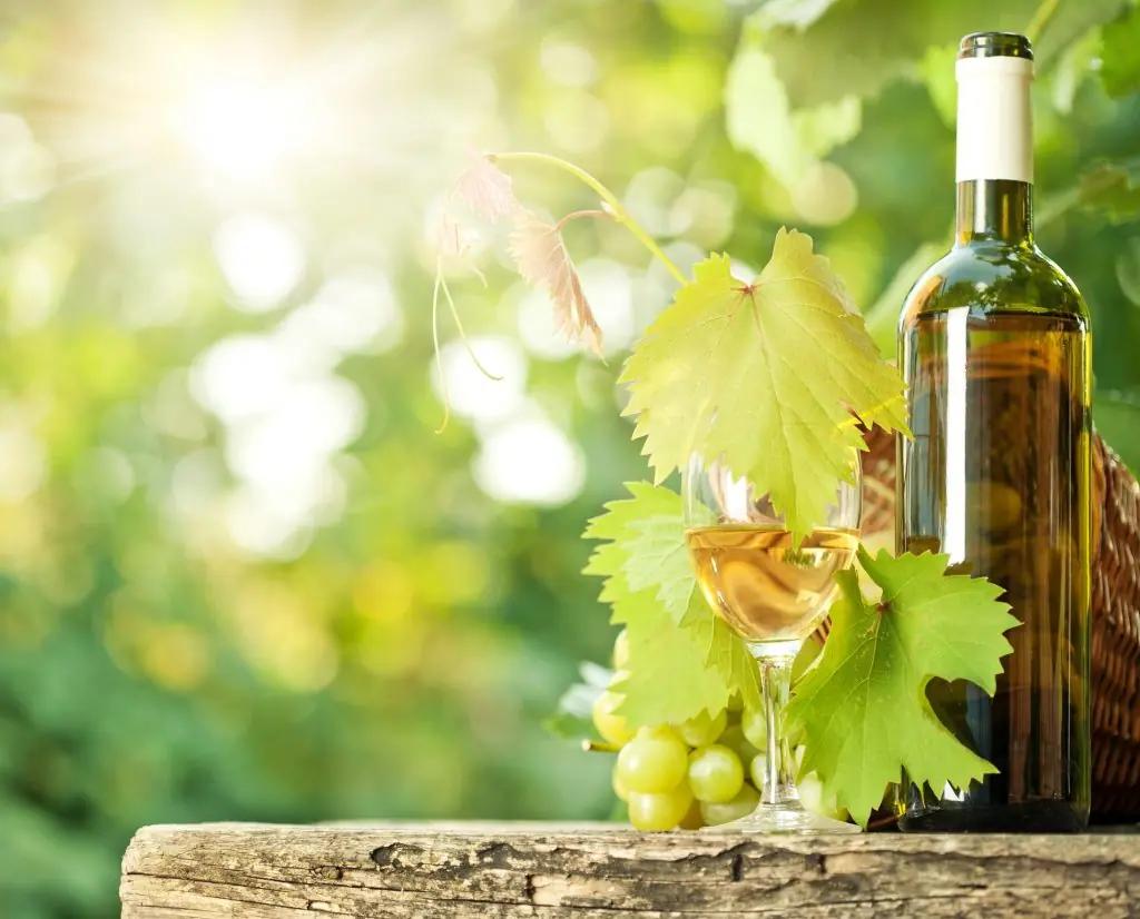 torrt-vitt-vin