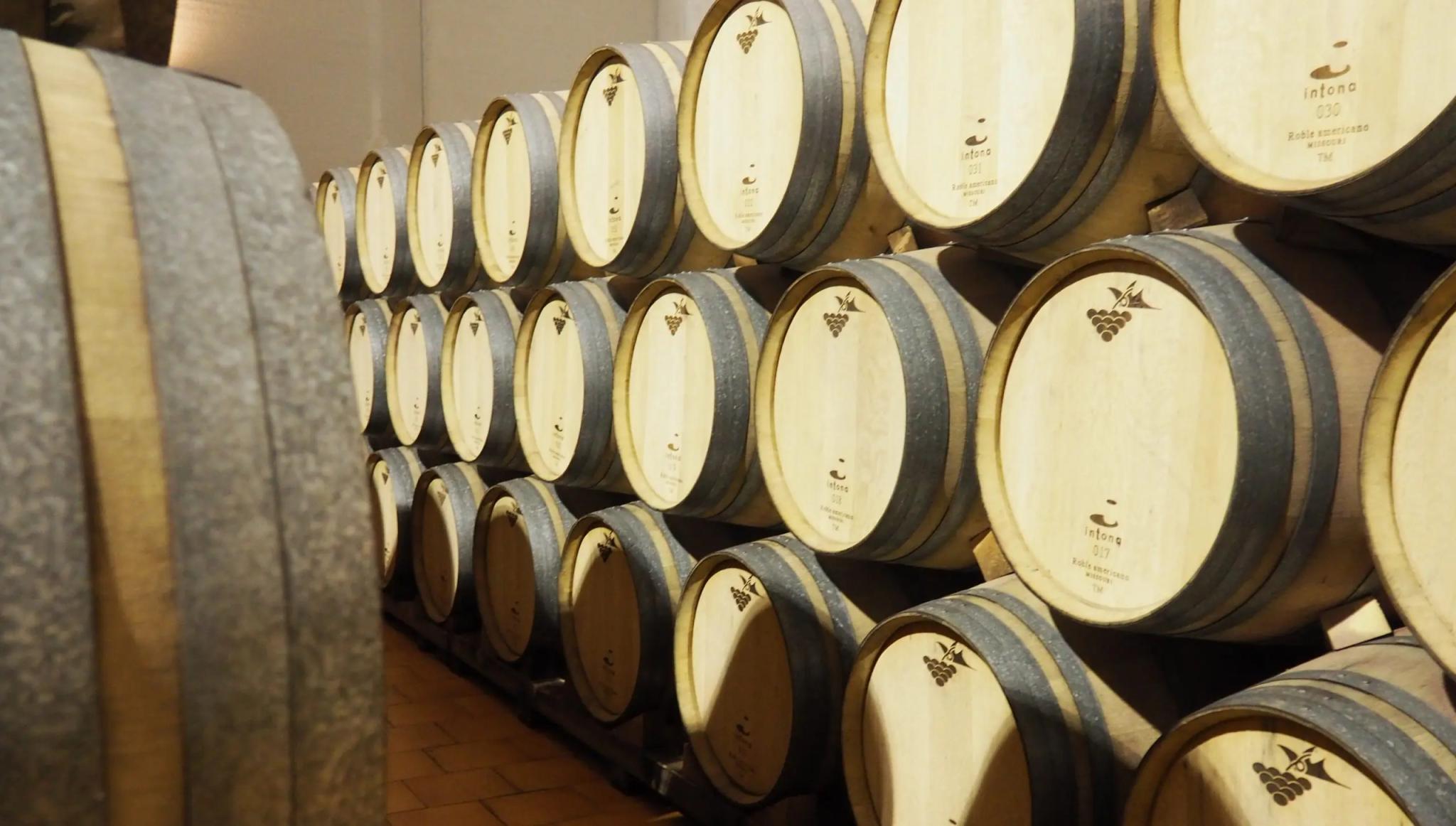 Castilla-La Mancha – Din insider guide till en av de bästa vinregionerna i Spanien