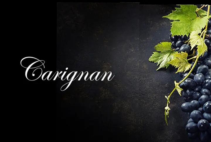 carignan druva