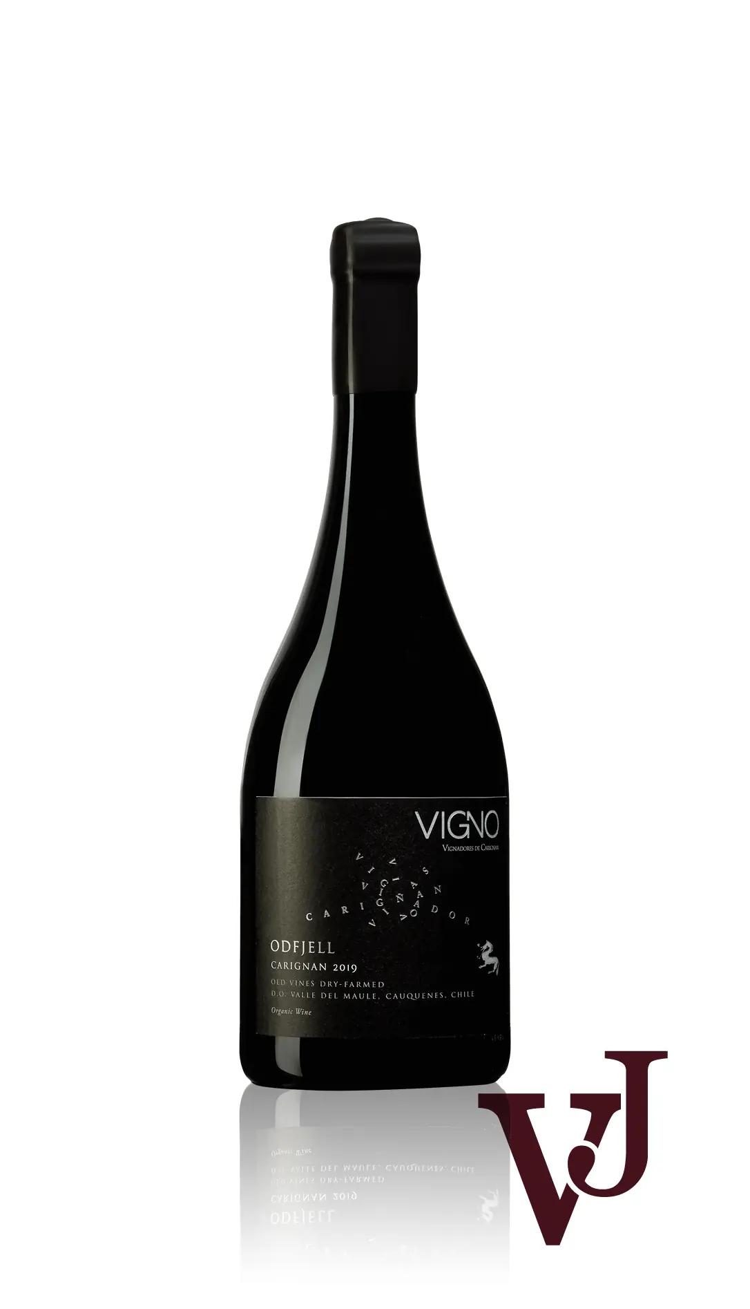 Carignan – allt du behöver veta om druvan!