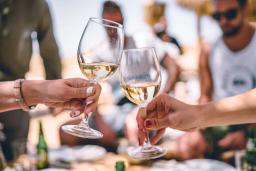 Sommar, sol och 5 rosétips!
