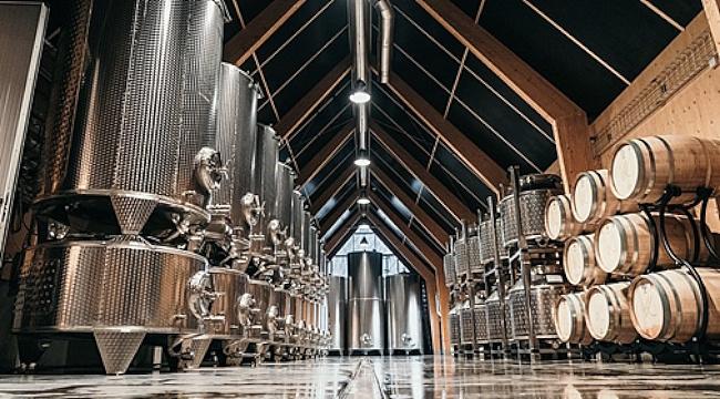 Enkät: Vad tycker du om svenskt vin?