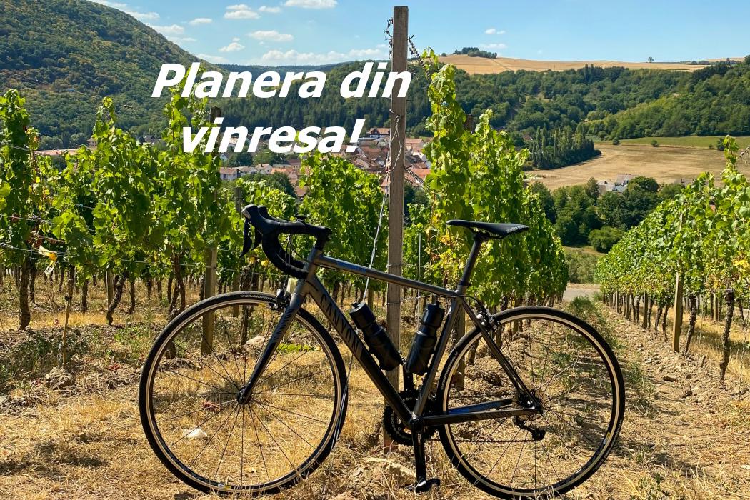 vinresor - cykel i vingården