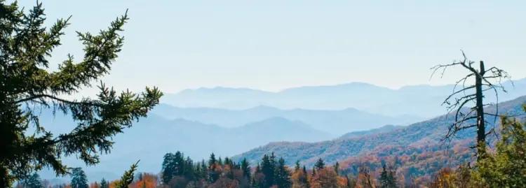 Appalachian Whiskey Bourbon – autentiskt hembränt