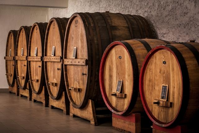 Vinregionen Umbria – Din guide till de bästa vinerna och vingårdarna i regionen