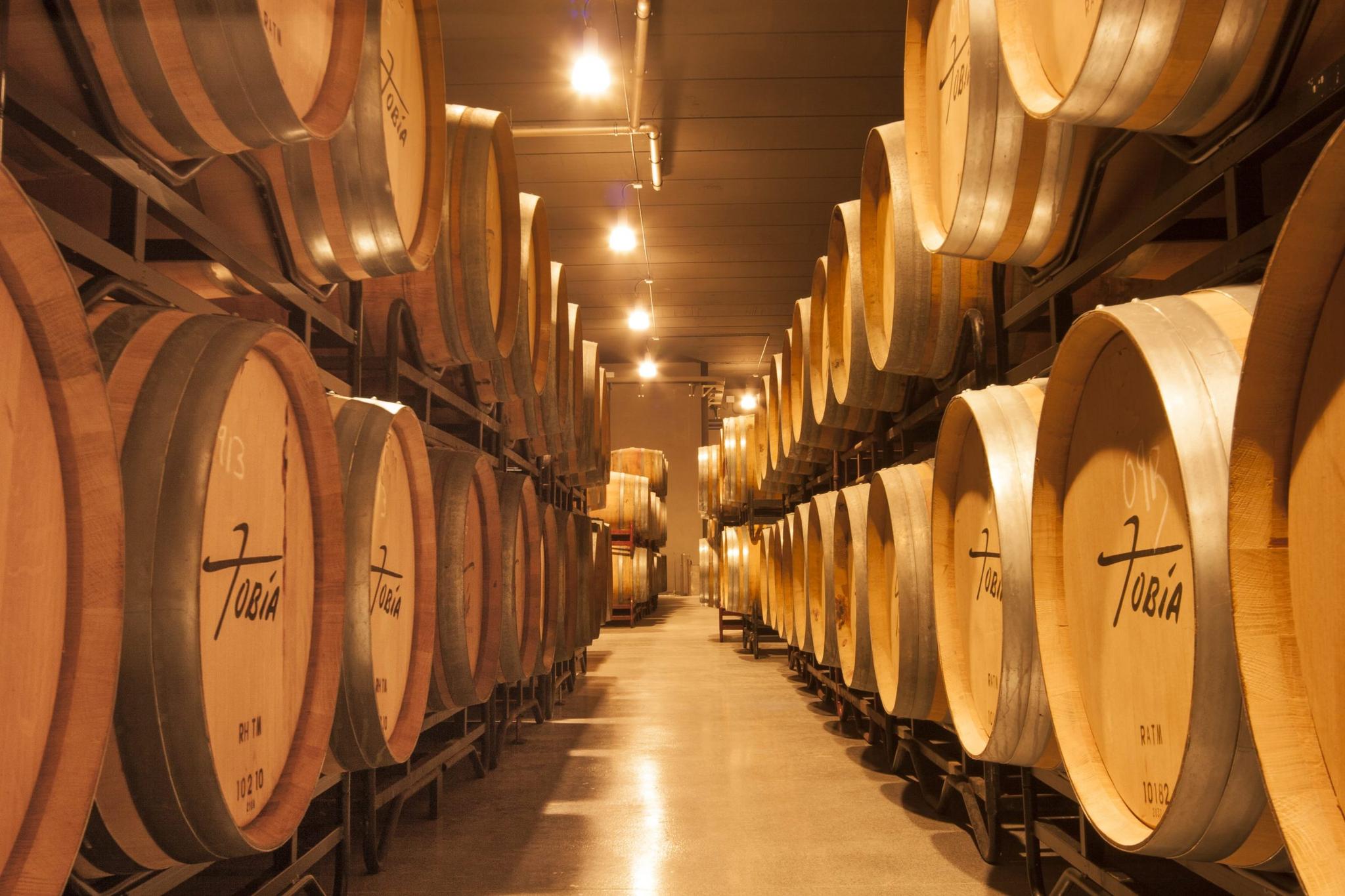 Rioja, en vin-metropol i norra Spanien!